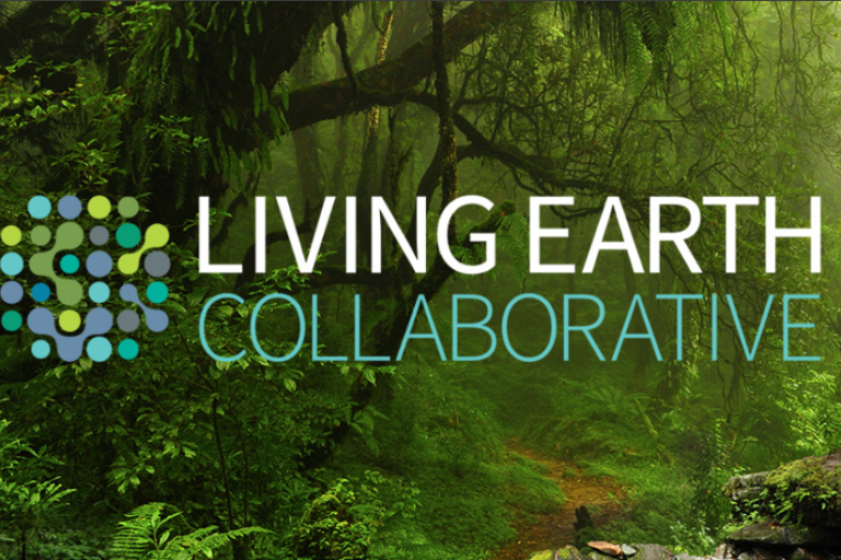 Living Earth Collaborative