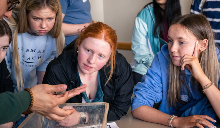 Brain Bee gives St. Louis students a chance to explore neuroscience