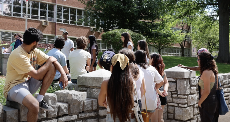 The St. Louis Fellows Program at Washington University in St. Louis