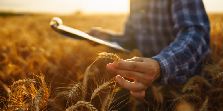 WashU launches FARM to drive food system transformation