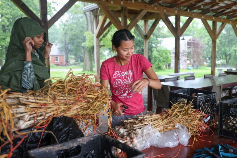 Gephardt students extend summer work through St. Louis Impact Fund