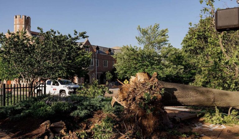 WashU community joins neighbors in tornado recovery