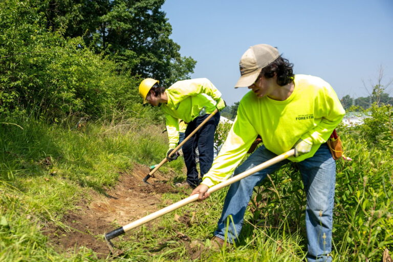 WashU St. Louis Fellows take on tornado recovery work in O’Fallon Park