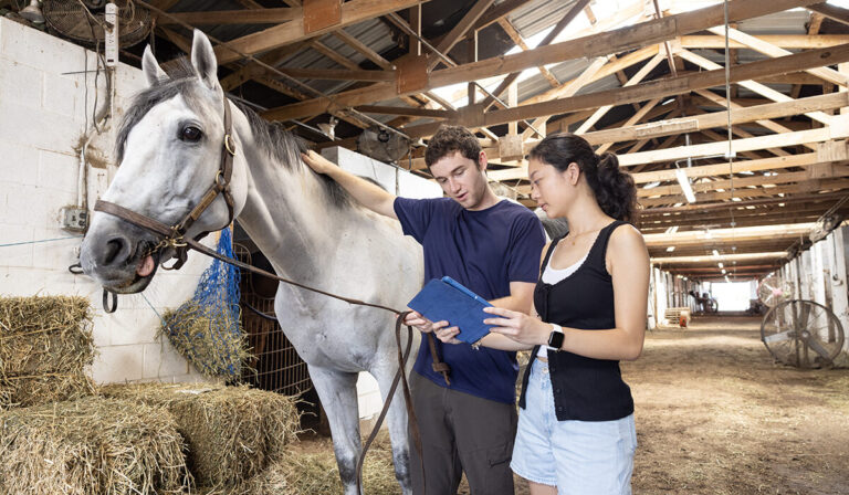 Career Catalysts: WashU stipends fund internships, fuel professional growth